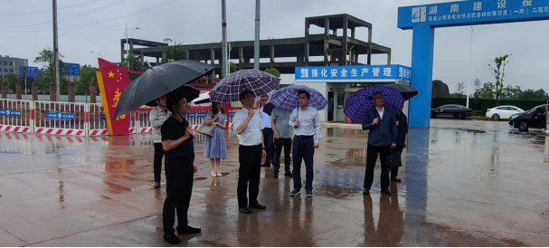 省国资委副主任张翔调研乐虎集团永兴基地